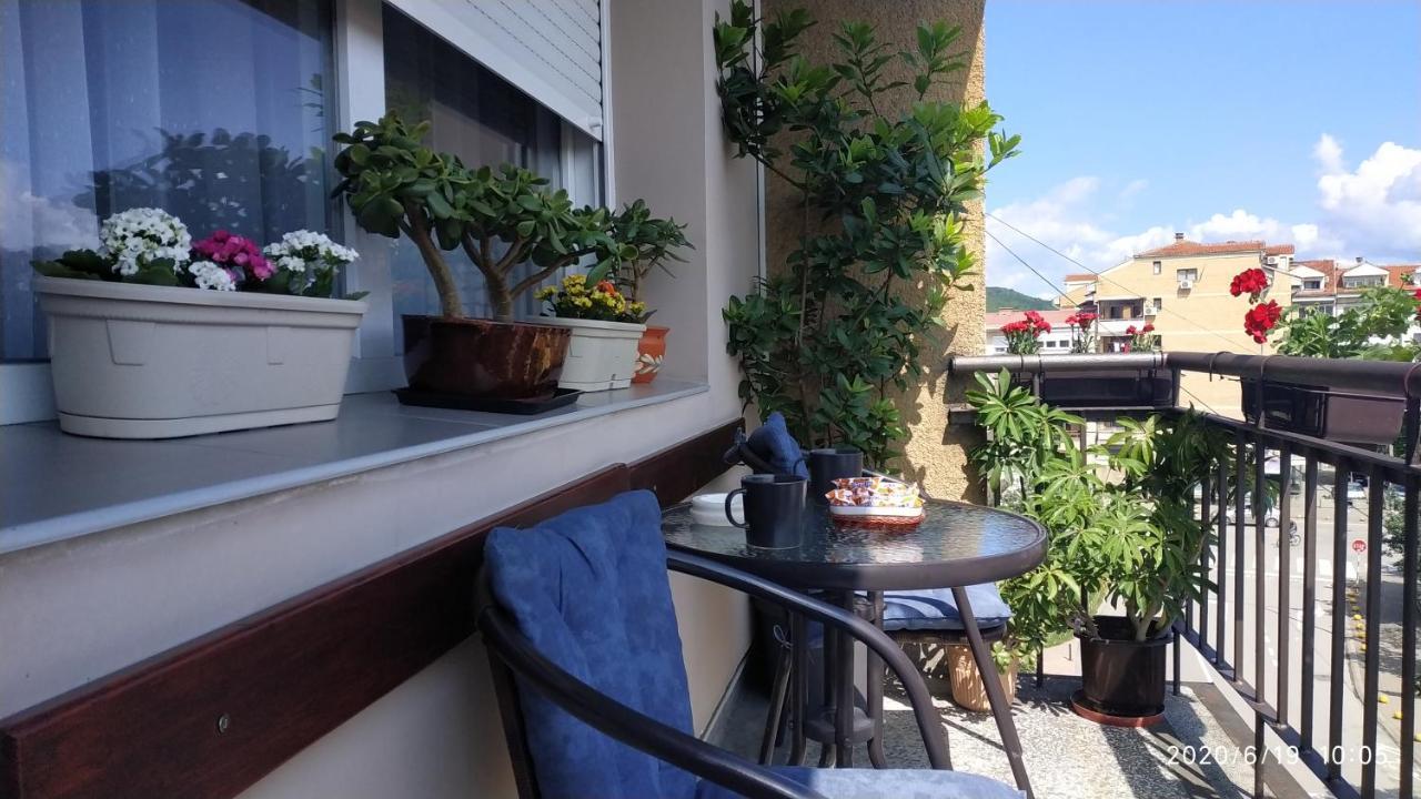 Apartman Rada Пирот Экстерьер фото